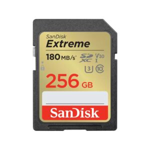 MEMORY SDXC 256GB UHS-1/SDSDXVV-256G-GNCIN SANDISK  SDSDXVV-256G-GNCIN 619659188948