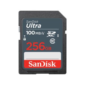 MEMORY SDXC 256GB UHS-I/SDSDUNR-256G-GN3IN SANDISK  SDSDUNR-256G-GN3IN 619659186357