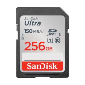 MEMORY SDXC 256GB UHS-I/SDSDUNC-256G-GN6IN SANDISK  SDSDUNC-256G-GN6IN 619659200237