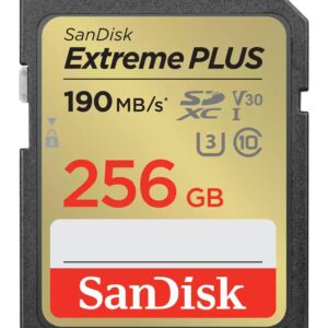 MEMORY SDXC 256GB UHS-1/SDSDXWV-256G-GNCIN SANDISK  SDSDXWV-256G-GNCIN 619659189457