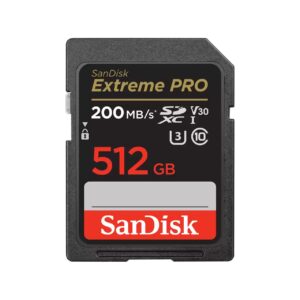 MEMORY SDXC 512GB UHS-1/SDSDXXD-512G-GN4IN SANDISK  SDSDXXD-512G-GN4IN 619659188665