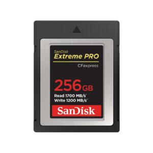 MEMORY COMPACT FLASH 256GB/SDCFE-256G-GN4NN SANDISK  SDCFE-256G-GN4NN 619659180843