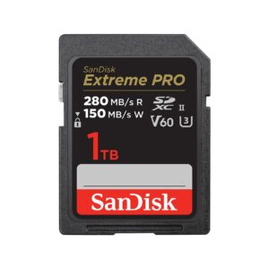 MEMORY SDXC 1TB UHS-II/SDSDXEP-1T00-GN4IN SANDISK  SDSDXEP-1T00-GN4IN