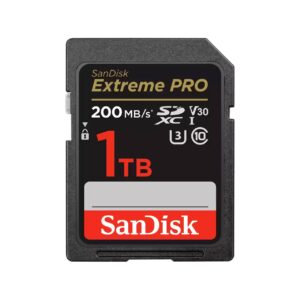 MEMORY SDXC 1TB UHS-I/SDSDXXD-1T00-GN4IN SANDISK  SDSDXXD-1T00-GN4IN 619659188641