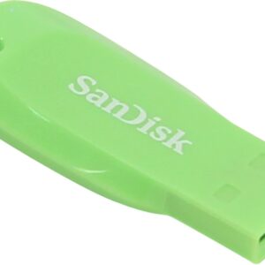 MEMORY DRIVE FLASH USB2 32GB/SDCZ50C-032G-B35GE SANDISK SDCZ50C-032G-B35GE 619659146948